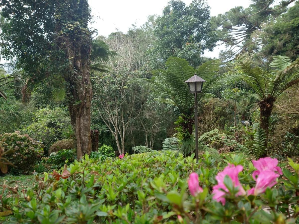 Pousada Estrela Da Serra Monte Verde  Exterior foto
