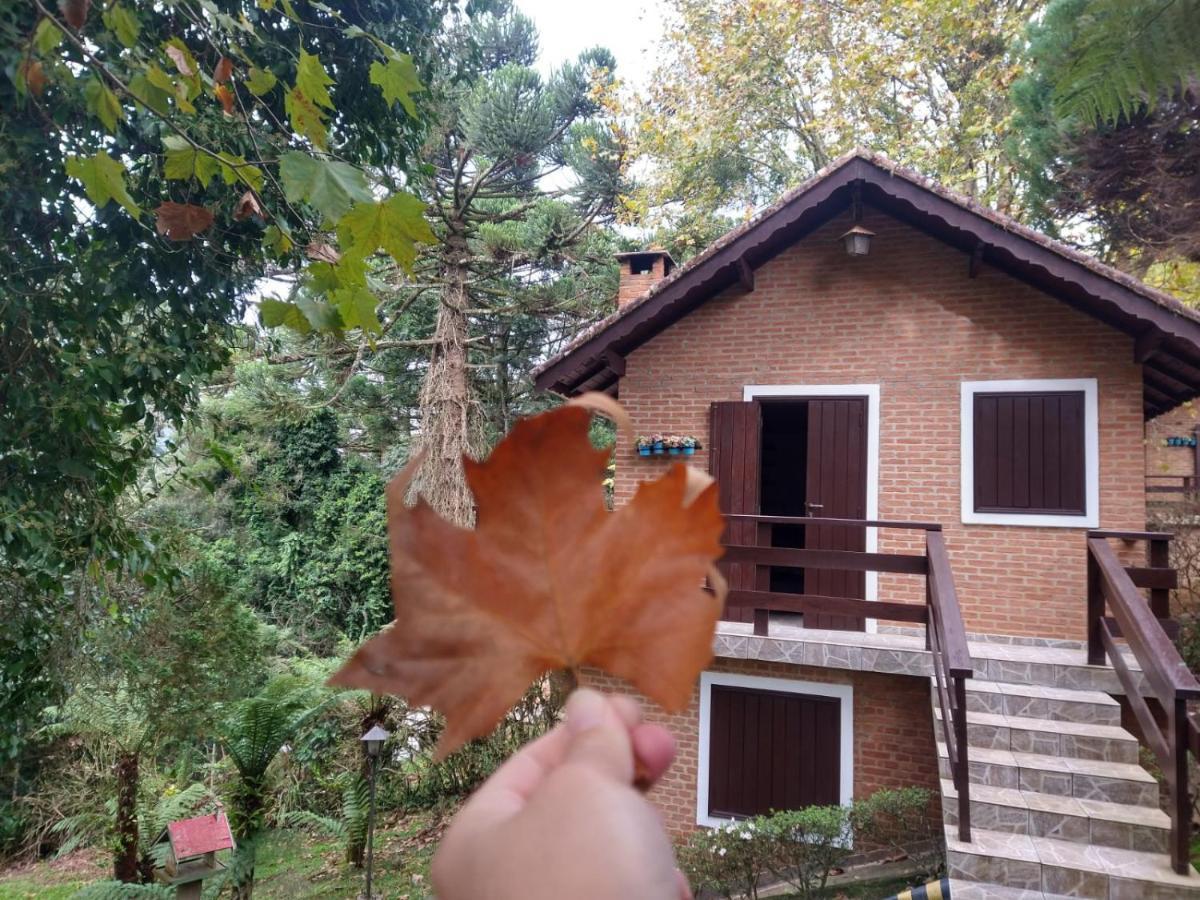 Pousada Estrela Da Serra Monte Verde  Exterior foto