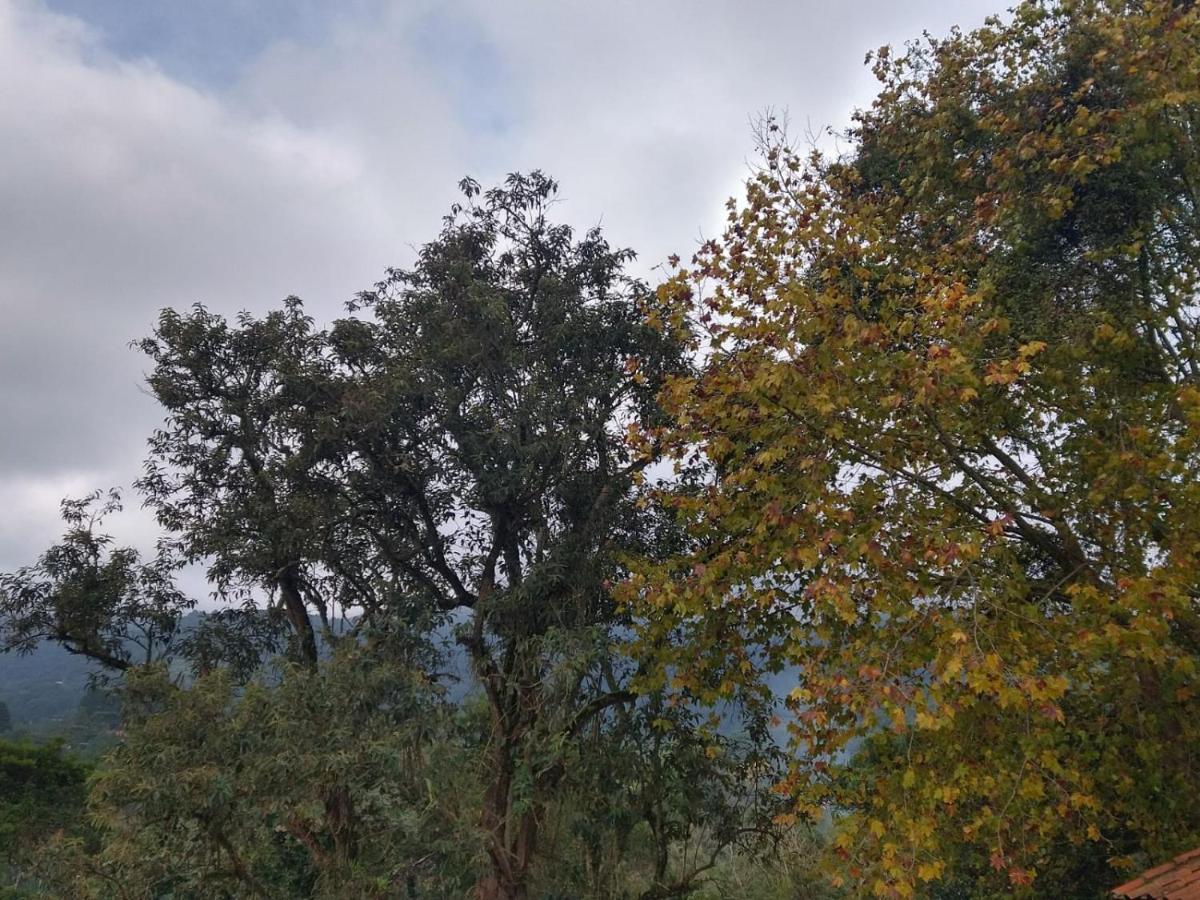 Pousada Estrela Da Serra Monte Verde  Exterior foto