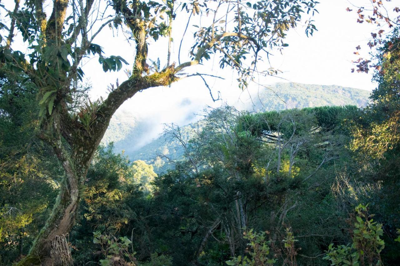 Pousada Estrela Da Serra Monte Verde  Exterior foto